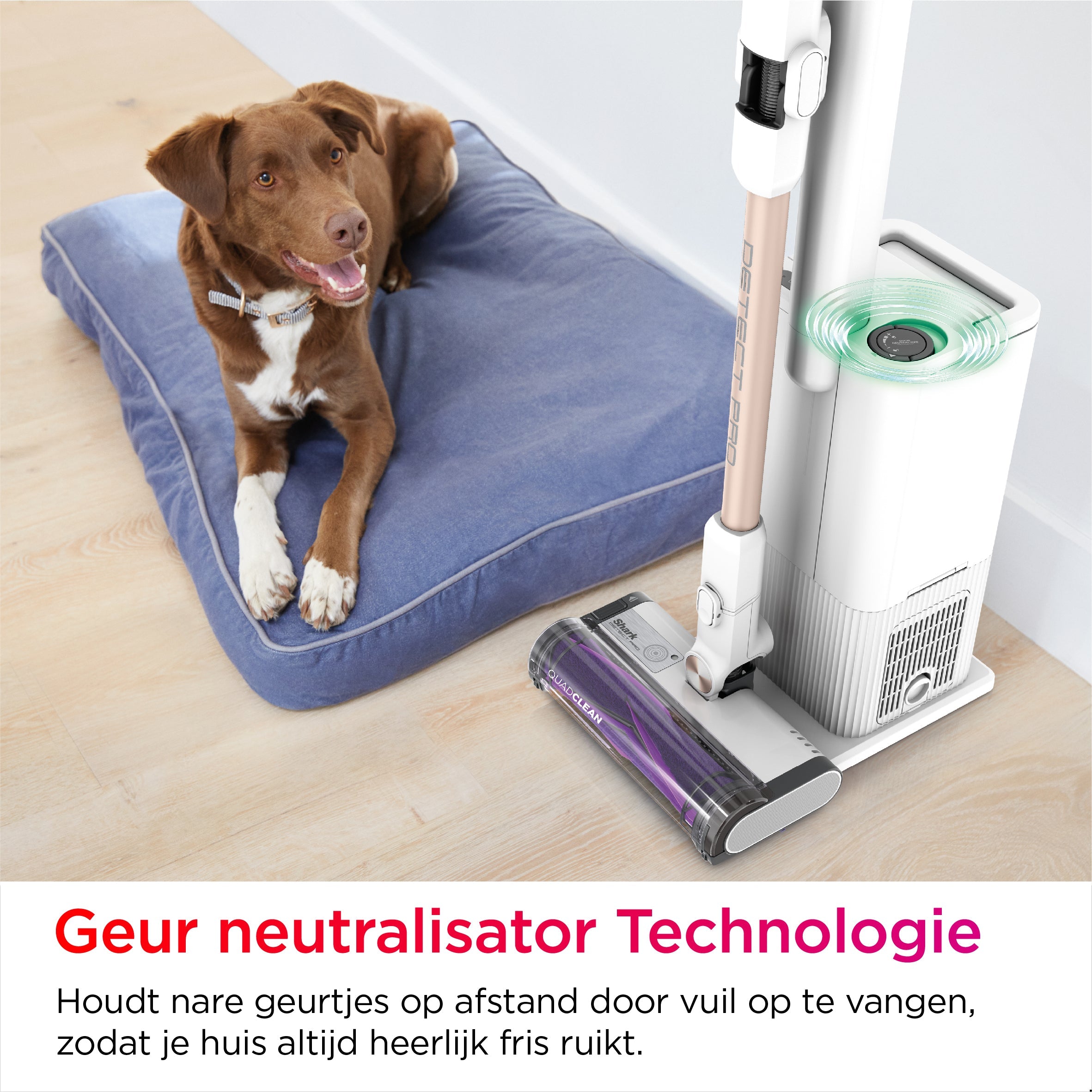Shark Detect Pro Draadloze steelstofzuiger - IW3612EU